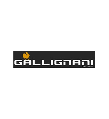 Gallignani S.p.a